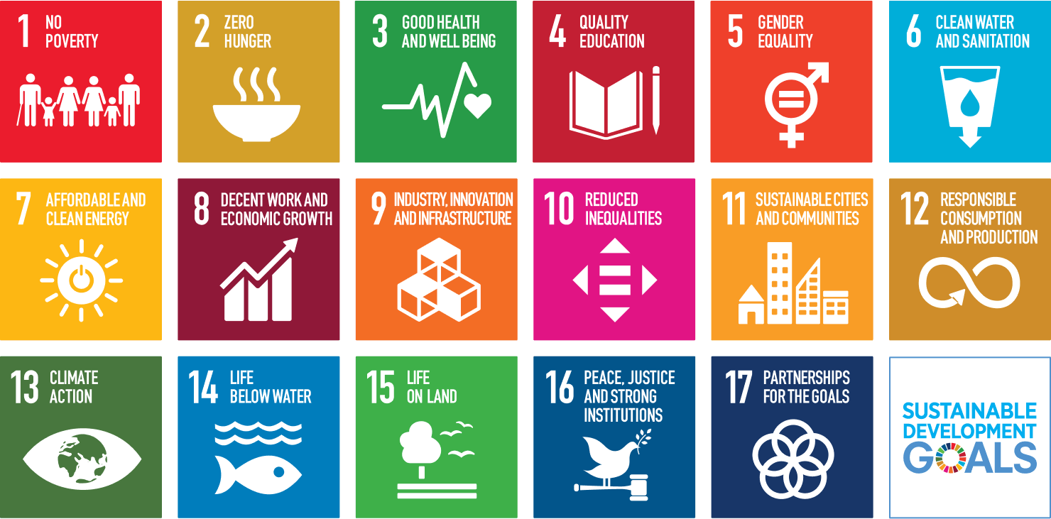 UN Sustainable Development Goals